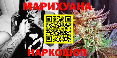 стафф Будённовск